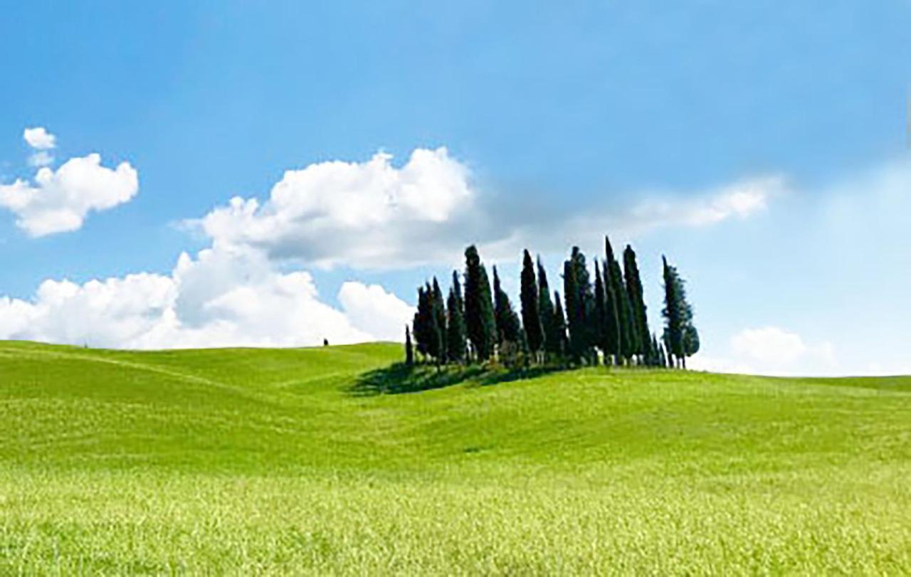 Ponte a Tressa La Casa Nel Poggio 247 Vicino A Siena 아파트 외부 사진