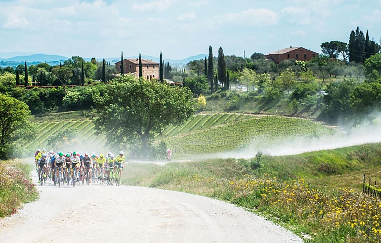 Ponte a Tressa La Casa Nel Poggio 247 Vicino A Siena 아파트 외부 사진